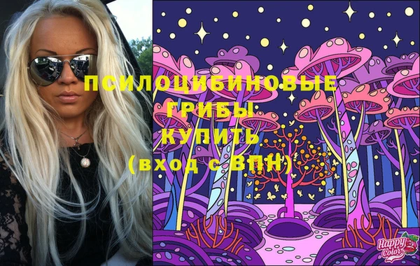 ECSTASY Белокуриха