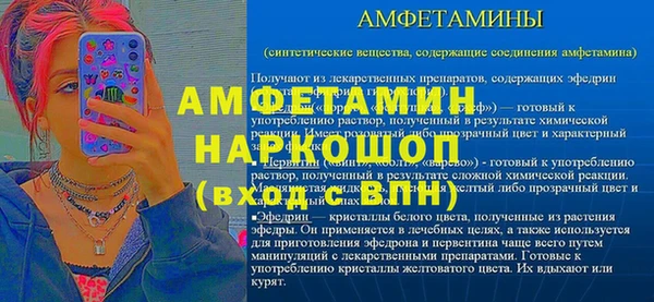 мдпв Богданович