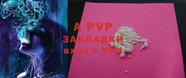 мдпв Богданович