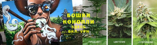 скорость Бронницы